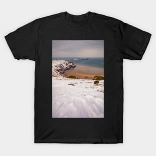 Worms Head, Rhossili Bay, Gower T-Shirt